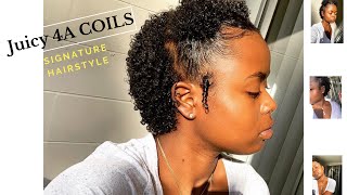 Easy Natural Hair Style  Defined 4A Curls [upl. by Nerret]