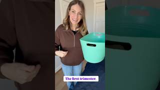 If trimesters could talk sketchcomedy pregnancy humor jokes momlife momsoftiktok moms [upl. by Hogarth]