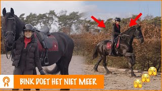 Weigert Bink de Tiktokchallenge  PaardenpraatTV [upl. by Dermot]