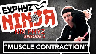 Neuromuscular Physiology Episode 4 quotMuscle Contractionquot [upl. by Nylaret]