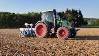 Fendt 314 Profi mit Monosem NG Plus 4 im Einsatz [upl. by Tavi]