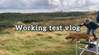 WORKING TEST VLOG 🏆 workingtest gundog competition dayout comewithus countryside [upl. by Lleneg]