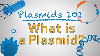 What is a Plasmid  Plasmids 101 [upl. by Ylatan128]