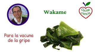 Vacuna de la gripe y Wakame [upl. by Teleya]