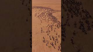 Maasai Mara herd migration aerial view Short 4K   Scenic Relaxing Film With Cinematic Music [upl. by Gee]