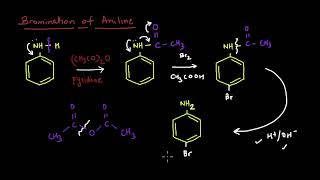 Bromination of Aniline  Electrophilic Aromatic Substitution Reactions  Chemistry  Khan Academy [upl. by Einyaj]