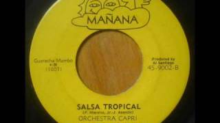 Orchestra Capri  Salsa Tropical [upl. by Ellenyl142]