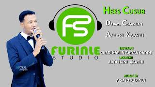 CABDI HANI XAASHI MAXAAN MAXAAN DABACO OFFICIAL SONG 2019  Furinle studio [upl. by Nabroc]