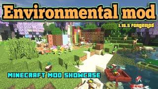 Minecraft 1165  Environmental mod [upl. by Merchant]