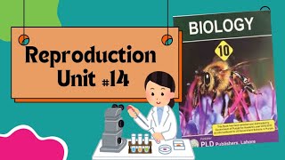 Development and structure of seed  Parts of seeds Reproduction Unit14 class 10th Biology [upl. by Pearla]