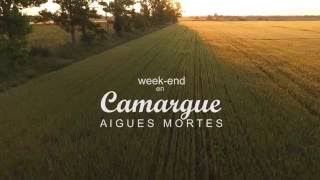 Camargue by drone [upl. by Lavella]