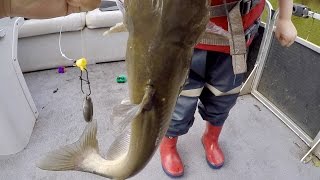 How to Catch BIG Catfish  Baits Rigging Cast Net Tutorial and Location ft Catfish and Carp [upl. by Forland]