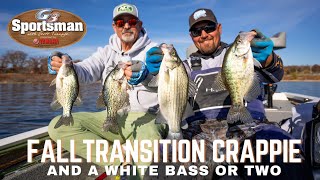 Fall Transition Crappie [upl. by Malvina]