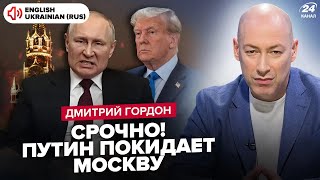 ⚡️ГОРДОН ВСЕ Гаряча фаза війни ЗАКІНЧИТЬСЯ у 2024 Трамп запропонує УГОДУ Путіну та Зеленському [upl. by Marb66]