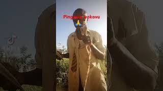 cover songs natureman agriculturefarming Steve mtumishi farmers [upl. by Olli946]