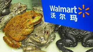 TOP 10 Weirdest Products in a Chinese Walmart [upl. by Auqinahs]