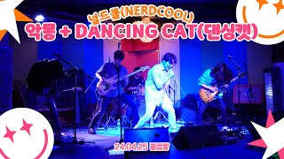 240425 Nerdcool널드쿨  악몽  Dancing Cat댄싱캣  클럽빵 [upl. by Phipps]