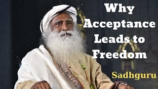 Why Acceptance Leads to Freedom Sadhguru Spiritual Teacher [upl. by Eilrak]