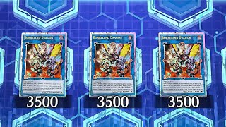 Unleashing 3 Borrelend Dragons in One Turn YuGiOh Master Duel [upl. by Nowtna]