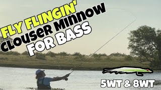 FLY FLINGIN’ CLOUSER MINNOW FOR BASS first bass on fly [upl. by Luce231]