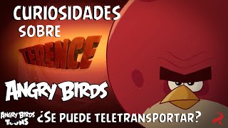 Curiosidades sobre TERENCE el personaje más misterioso de Angry Birds [upl. by Thomasina]