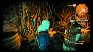 Wyvern Decoction Location Witcher 3 [upl. by Analeh]