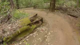 Yeti 160e demo bike  Demo Flow trail [upl. by Ennayehc]