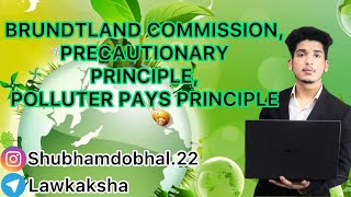 Brundtland Commission Precautionary Principle Polluter Pays Principle 🎓🎓Lawkaksha [upl. by Ahsien]