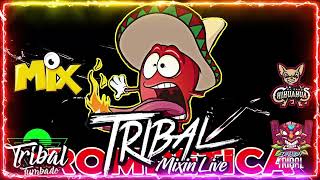 Tribal Mega Mix Febrero 2022 🔥 Lo Mas Chingon Del Tribal Mix 🔥 Tribal Tumbado Mix HD Sound [upl. by Trisha]