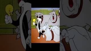 quotLooney tunesquot PART3 viralshorts youtubeshorts cartoon kidsstory [upl. by Laniger]