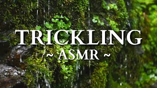 10 HOURS of Gentle Trickling Water  ASMR Paradise [upl. by Pegg]