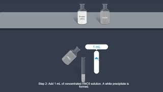 Protein  Xanthoproteic test [upl. by Ylekalb]