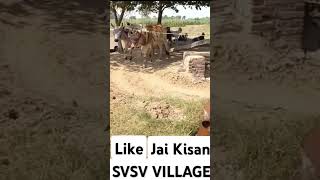 Jai kisan 😂😂viralvideos virakshorts viral youtube video [upl. by Retsbew]