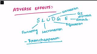 BETHANECHOL USES ADVERSE EFFECTS PHARMACOLOGYMADE EASY [upl. by Ibok]