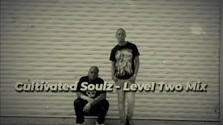 Cultivated Soulz Level Two Mix [upl. by Nivlek]