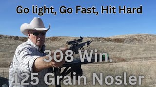 308 Win125gr NoslerVarget Testing Go Lighter Go Faster Hit Harder [upl. by Gavrielle]