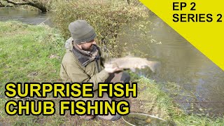 Trotting on the Itchen Chasing Scales Species Hunt EPISODE 22 [upl. by Hillery365]