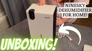 NineSky Dehumidifier Review The Best Home Dehumidifier for Humidity Control [upl. by Eux618]