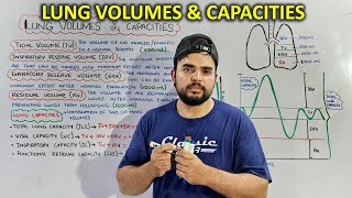 Lung Volumes and Capacities Essential Concepts for Respiratory Function [upl. by Sihunn]