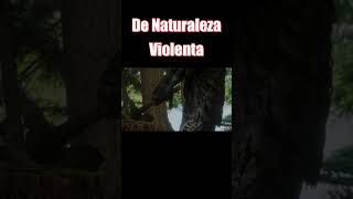 De Naturaleza Violenta shorts pelicula terror [upl. by Nereil594]