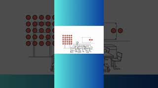 OSMOSIS EXPLAINED chemistry osmosis diffusion gradient science physiology water cell [upl. by Haseefan158]