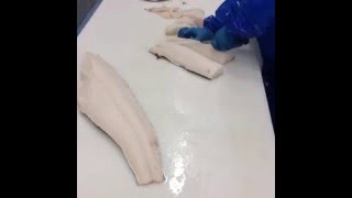 Patagonian Sea Bass Portions Hyper Lapse [upl. by Irdua]