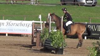 3ft 2 hunter trials at David Broome Event Centre [upl. by Malas]