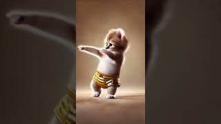 gold pants cat cat dancingcat catdancer dancingpet cutecat [upl. by Naves770]