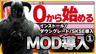 【Skyrim MOD導入①】初心者の方も大丈夫！今回はインストール1597へのダウングレードSKSEの導入文字化けの対策をご紹介します！ [upl. by Ynohtnaed]