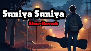 Suniya Suniya Rata  new slow reverb  Lofi Song 2024  new punjabi trending slowed viralvideo [upl. by Herschel9]