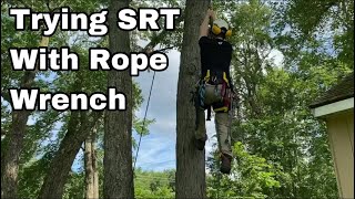 Trying SRT For The First Time  Arborist Tree Climbing Techniques [upl. by Aihsekyw548]