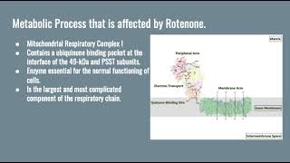 Rotenone The Toxic Chemical that Kills Our Fish [upl. by Etnahsal]