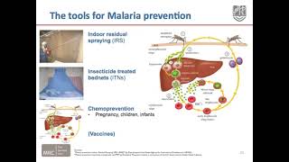 The Tools for Malaria Prevention by medicaleducation malaria diseaseawareness prevention [upl. by Holey]