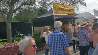 Reggae band at the Hobe Sound Art Festival [upl. by Tutt81]